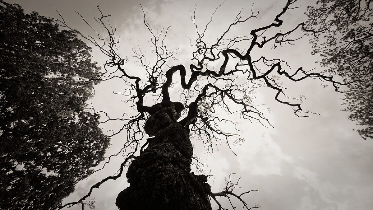 фото "***" метки: природа, 