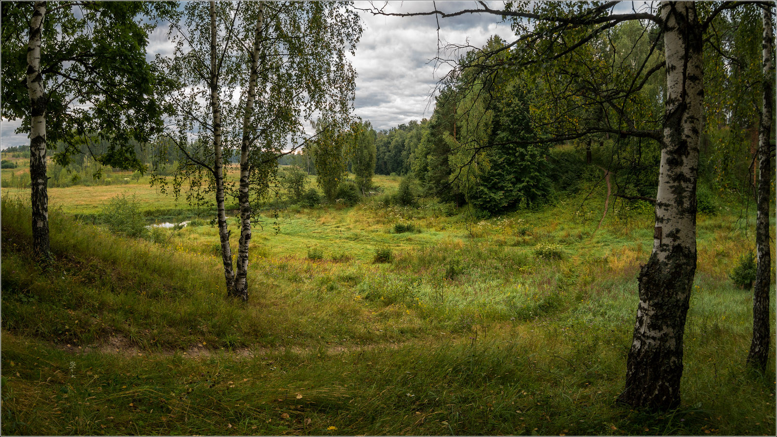 фото "утренними тропами" метки: пейзаж, природа, август, лето, утро