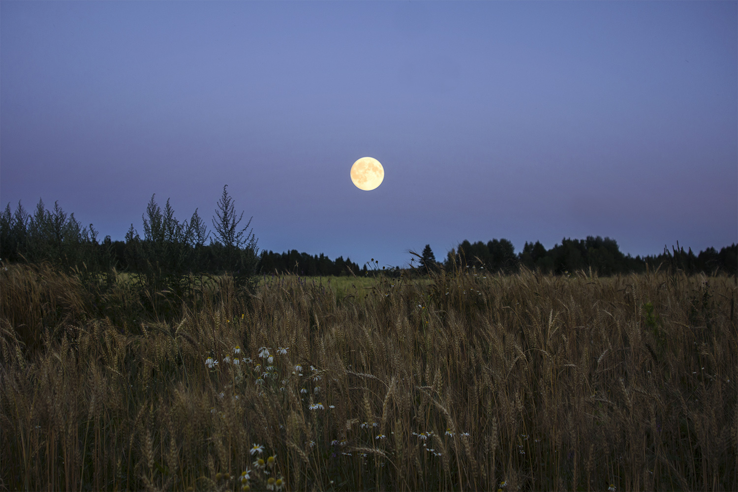 фото "полнолуние" метки: пейзаж, природа, Луна, полнолуние