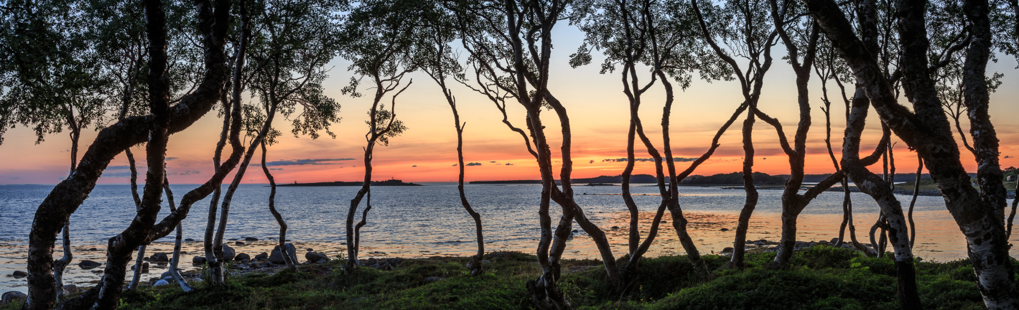 photo "Танго на закате" tags: landscape, panoramic, Russia, evening, sea, sky, sunset, деревья