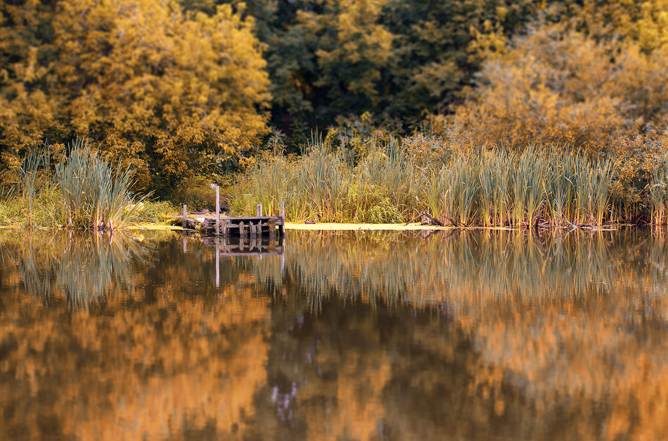 фото "Бабье лето" метки: пейзаж, природа, вода, мосток, осень