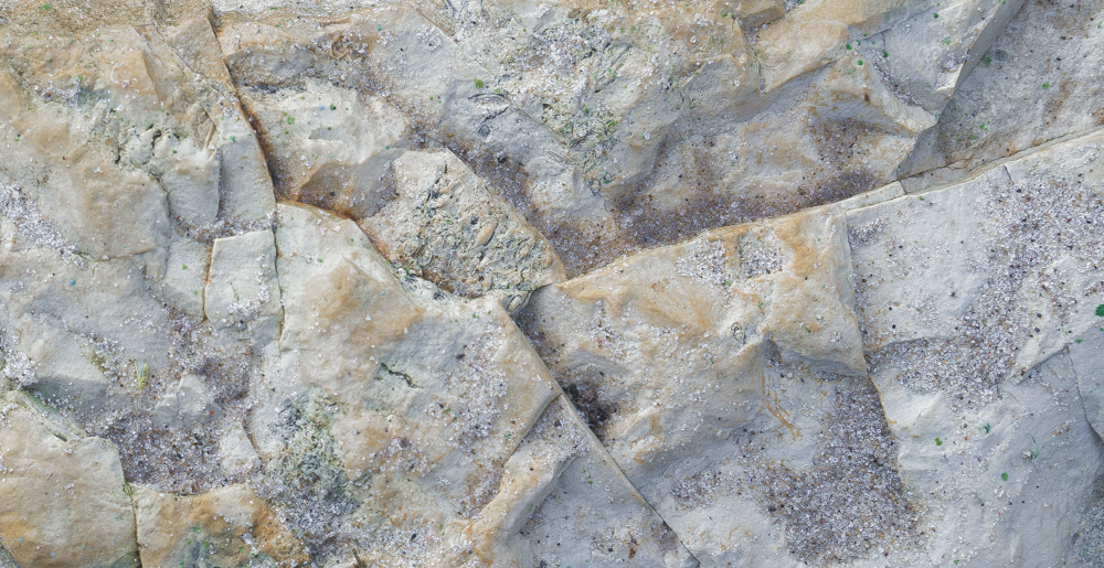 photo "***" tags: nature, fragment, misc., 