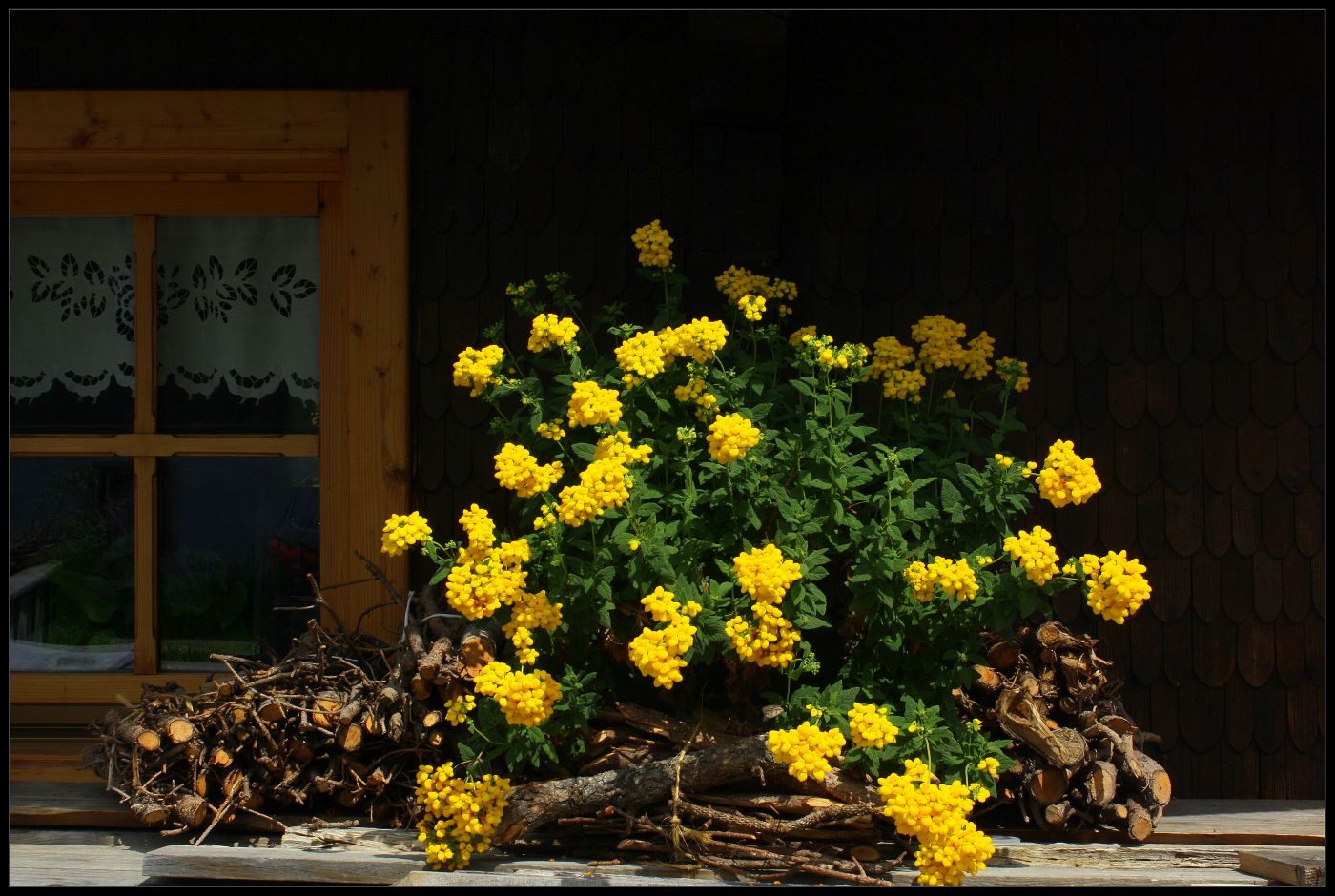 фото "***" метки: фрагмент, 
