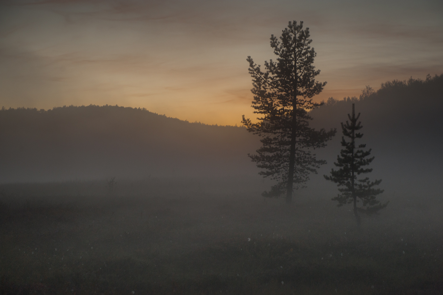 фото "***" метки: природа, пейзаж, закат, лес, туман