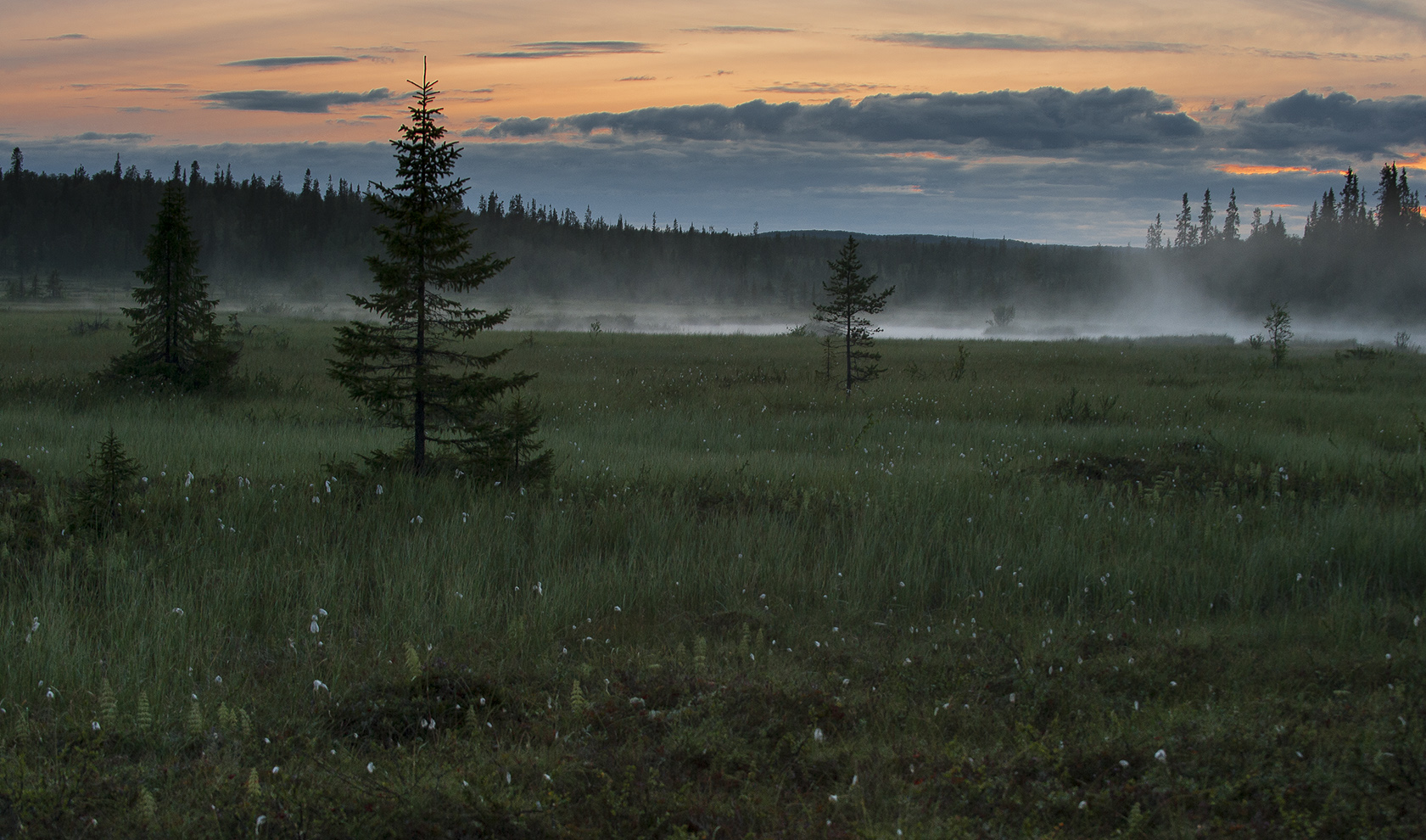 photo "***" tags: landscape, nature, fog, forest, sunset