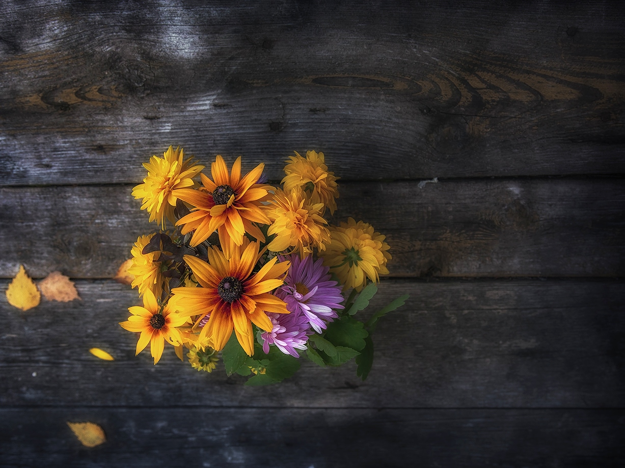 photo "***" tags: still life, macro and close-up, 