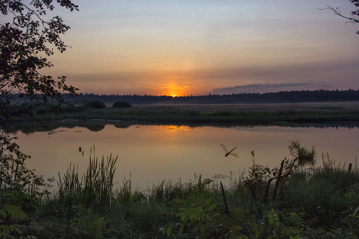 photo "***" tags: landscape, nature, sky, summer, sunset, деревенский пейзаж, красивое небо, красивый пейзаж, летний вечер, пейзаж на закате