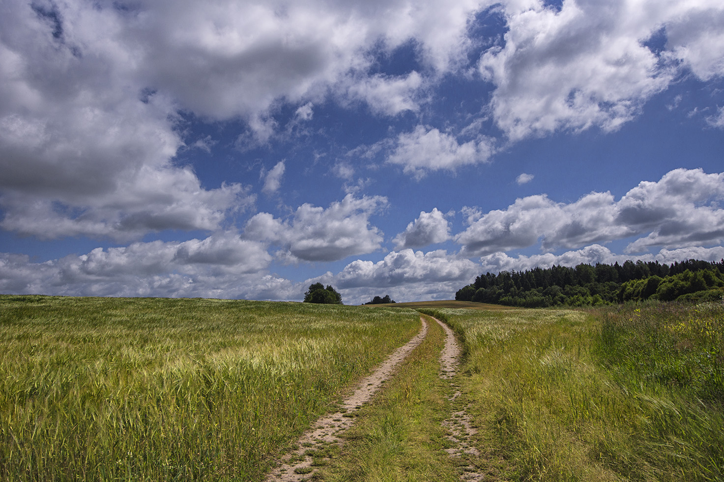 photo "***" tags: landscape, nature, clouds, field, road, деревенский пейзаж, красивое небо, летний день, ржаное поле, родные просторы, российская природа, русское раздолье, хлеба