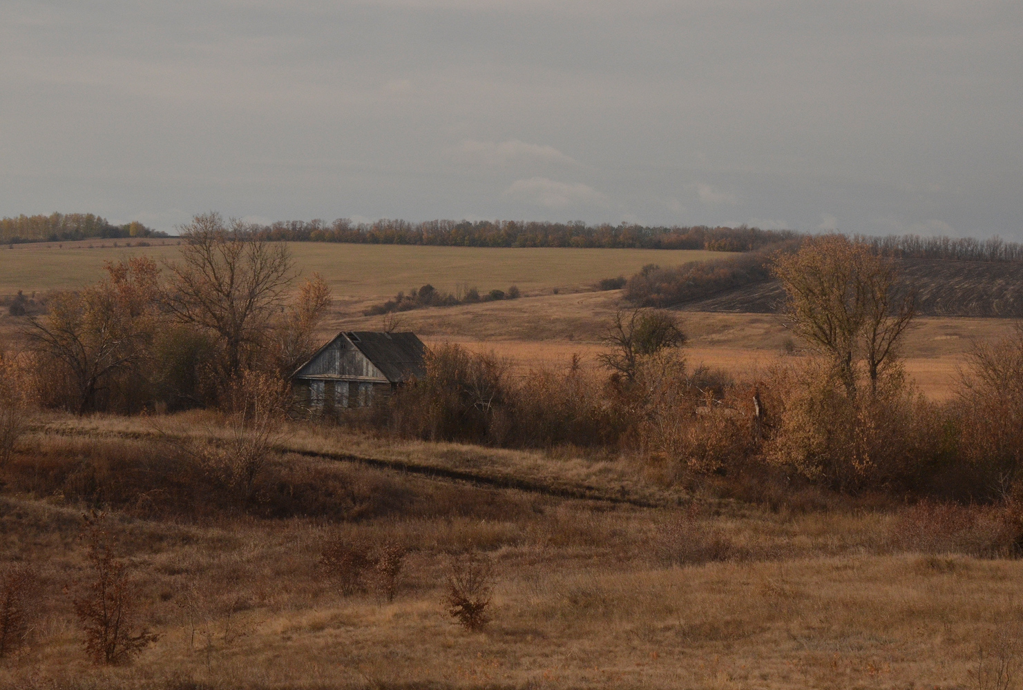 photo "***" tags: landscape, autumn, field, Отчизна, дом, разруха