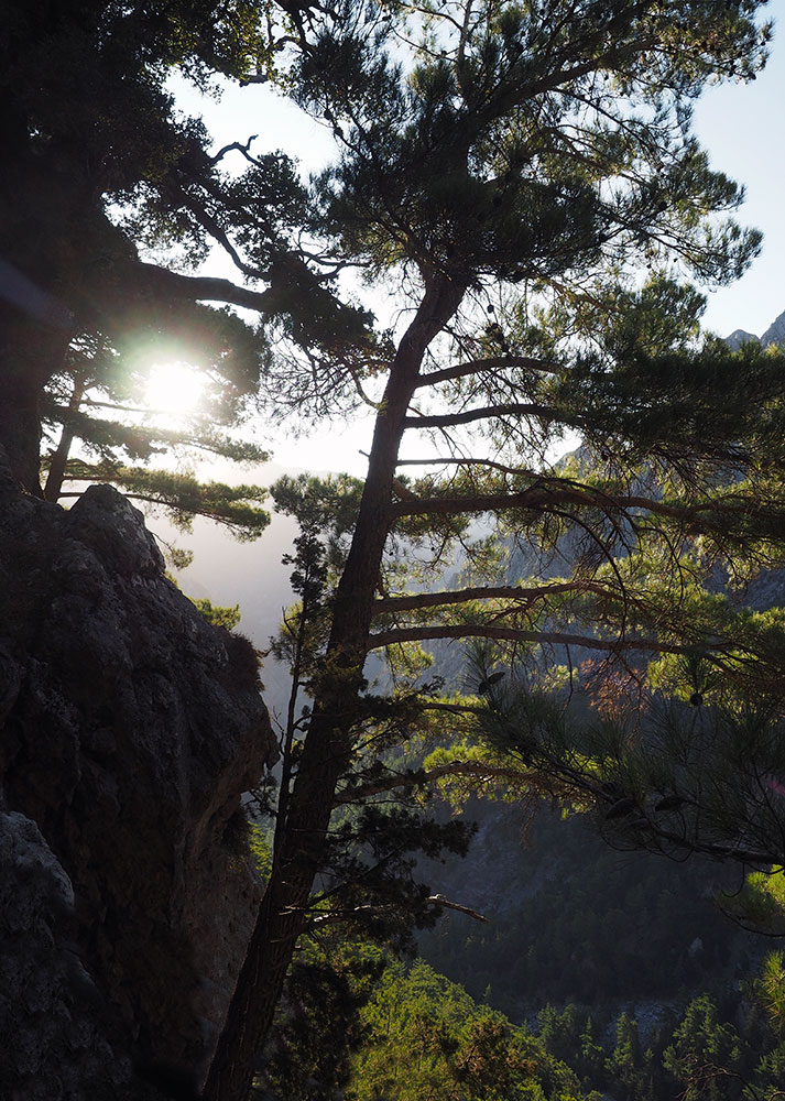 photo "***" tags: nature, Samaria Gorge