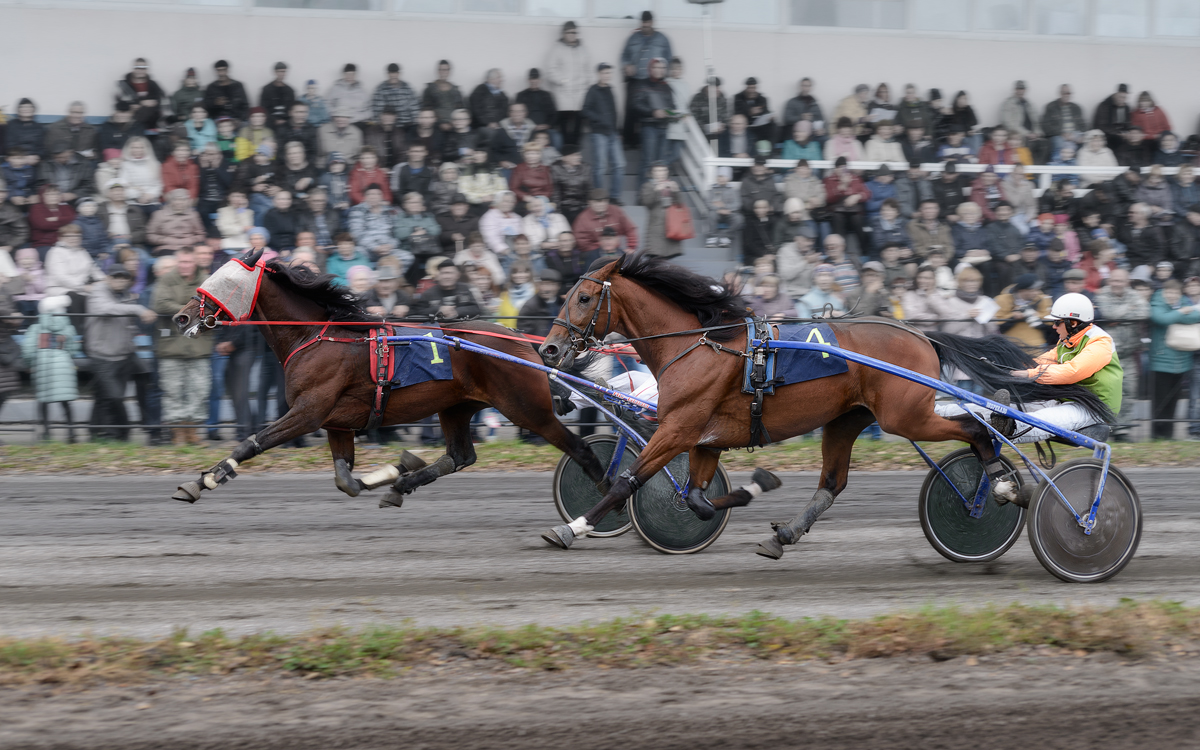 фото "*!*" метки: спорт, репортаж, 