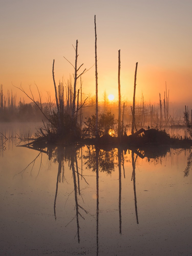 photo "***" tags: landscape, nature, travel, fog, lake, morning, sun, sunrise, water, Восход, деревья, дымка, отражение