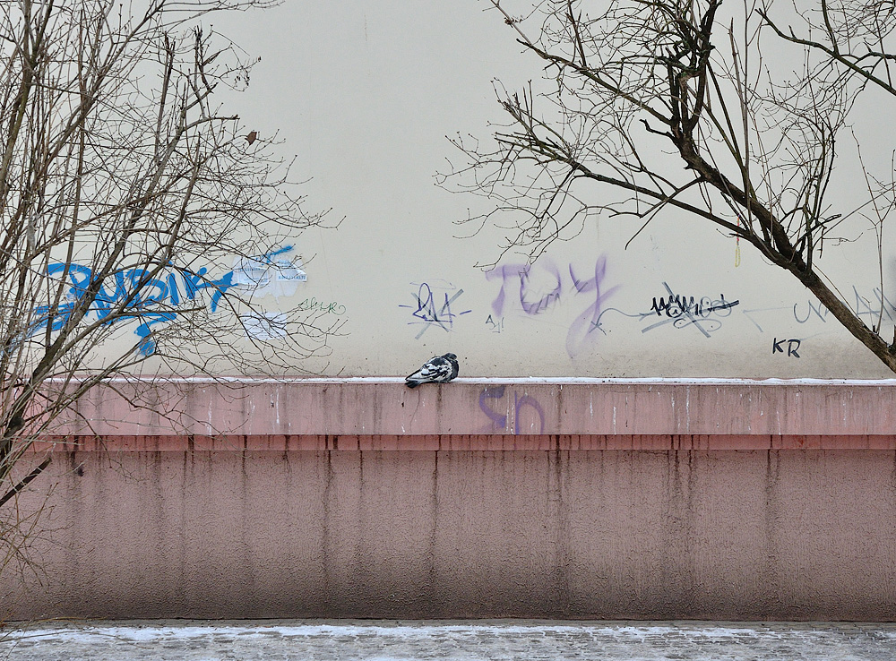 фото "***" метки: разное, 