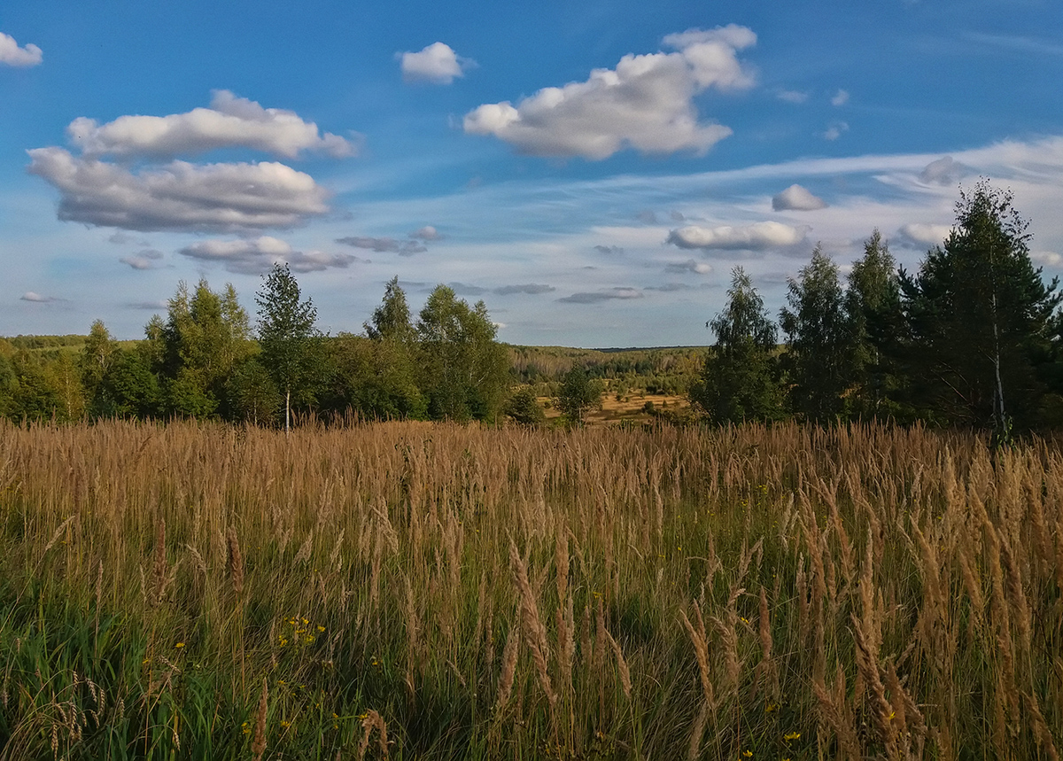 фото "Сентябрь" метки: пейзаж, природа, 