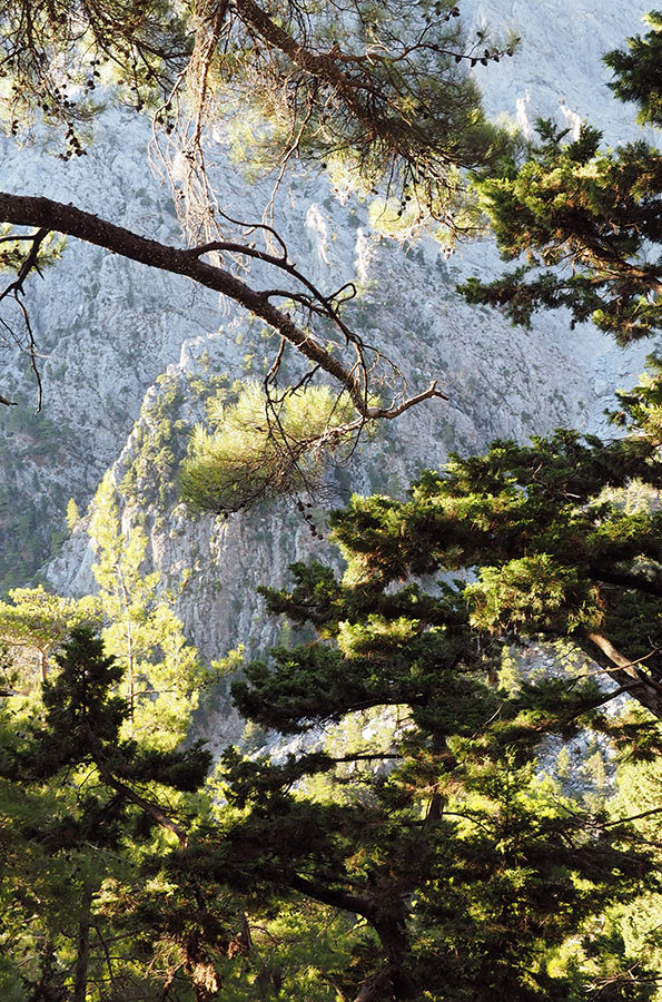 photo "***" tags: nature, Samaria Gorge