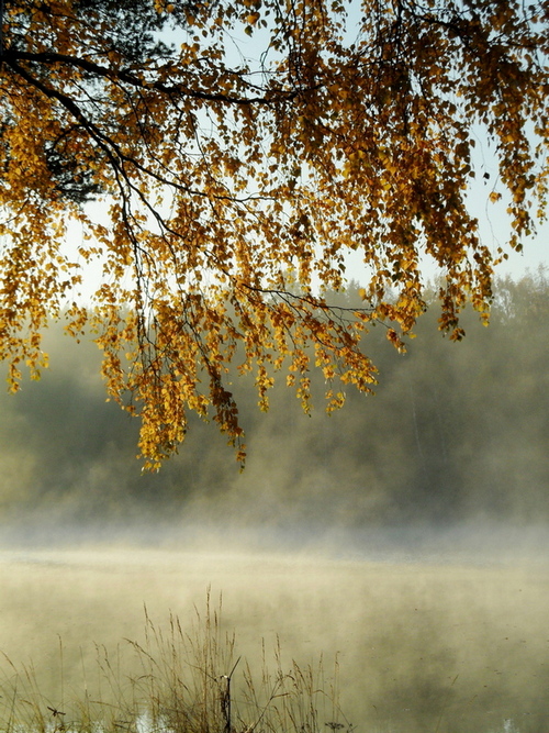 photo "***" tags: , 
