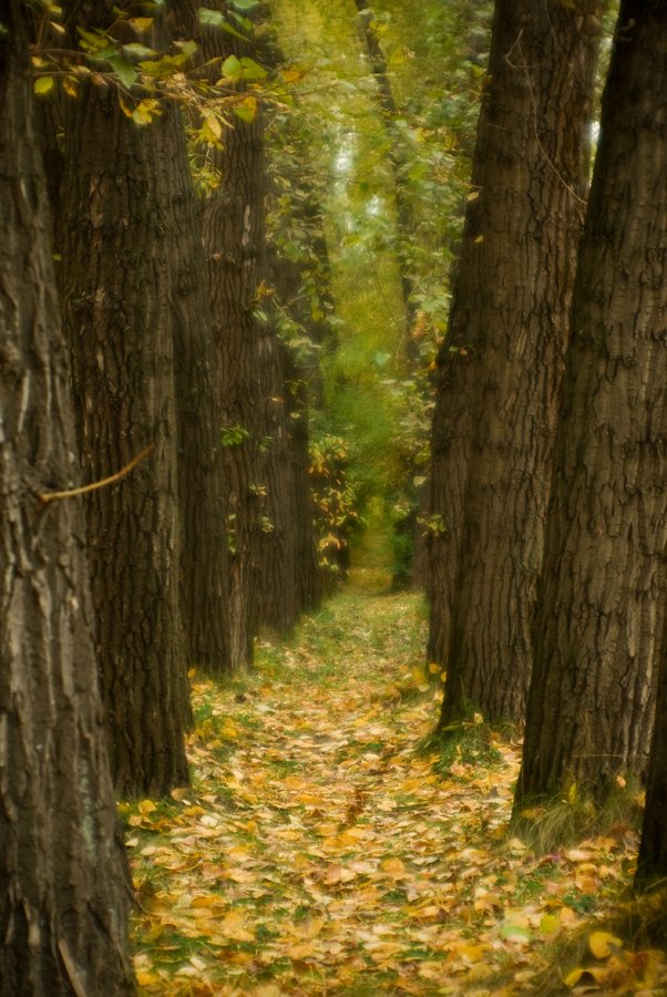 фото "***" метки: пейзаж, 