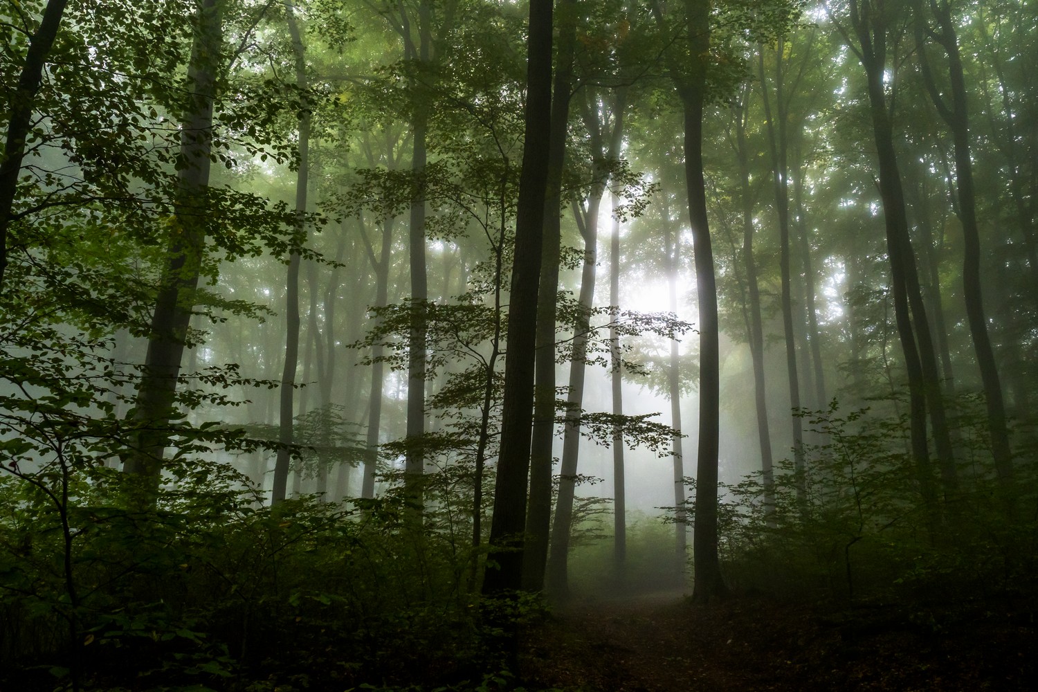 photo "***" tags: landscape, Europe