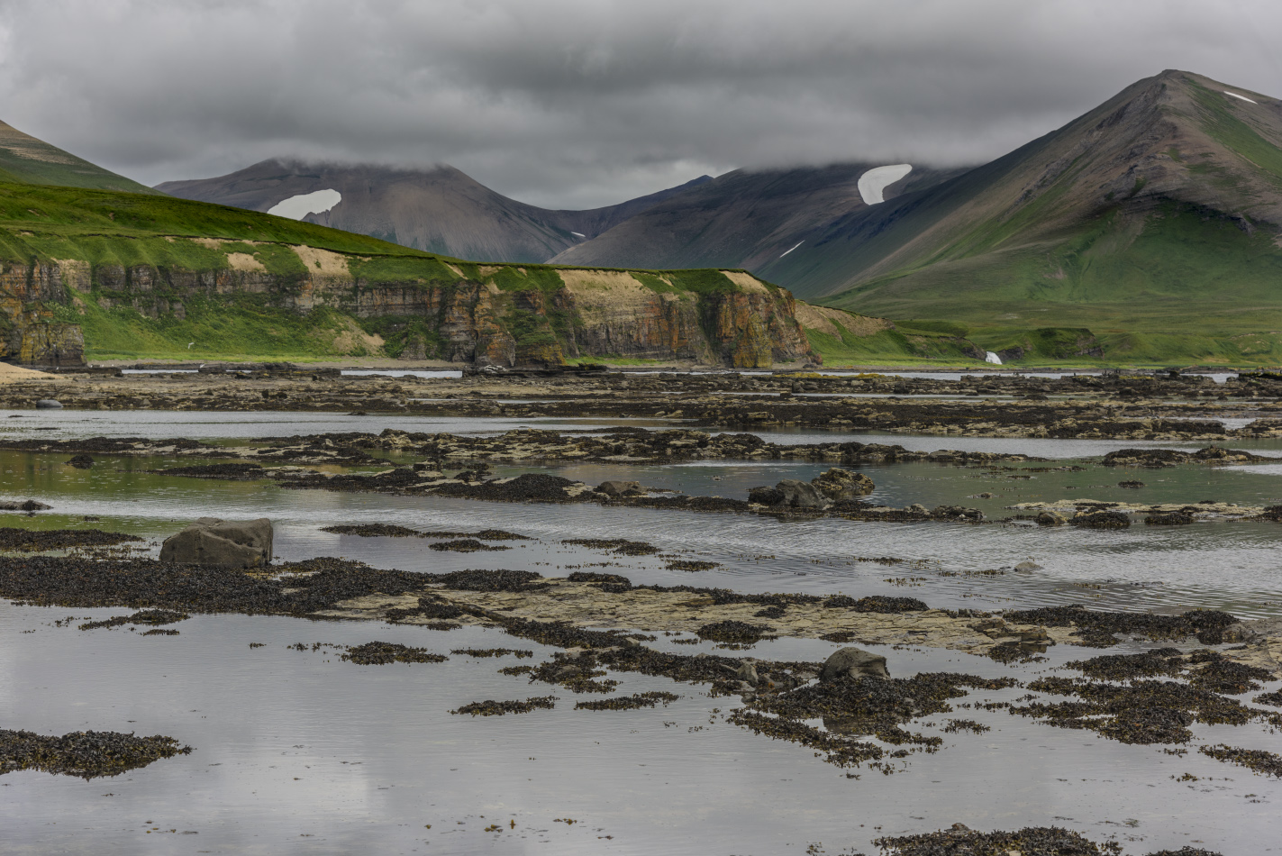 photo "***" tags: travel, landscape, island, sea, summer, Камчатка, Командорские острова, остров Беринга, путешествие