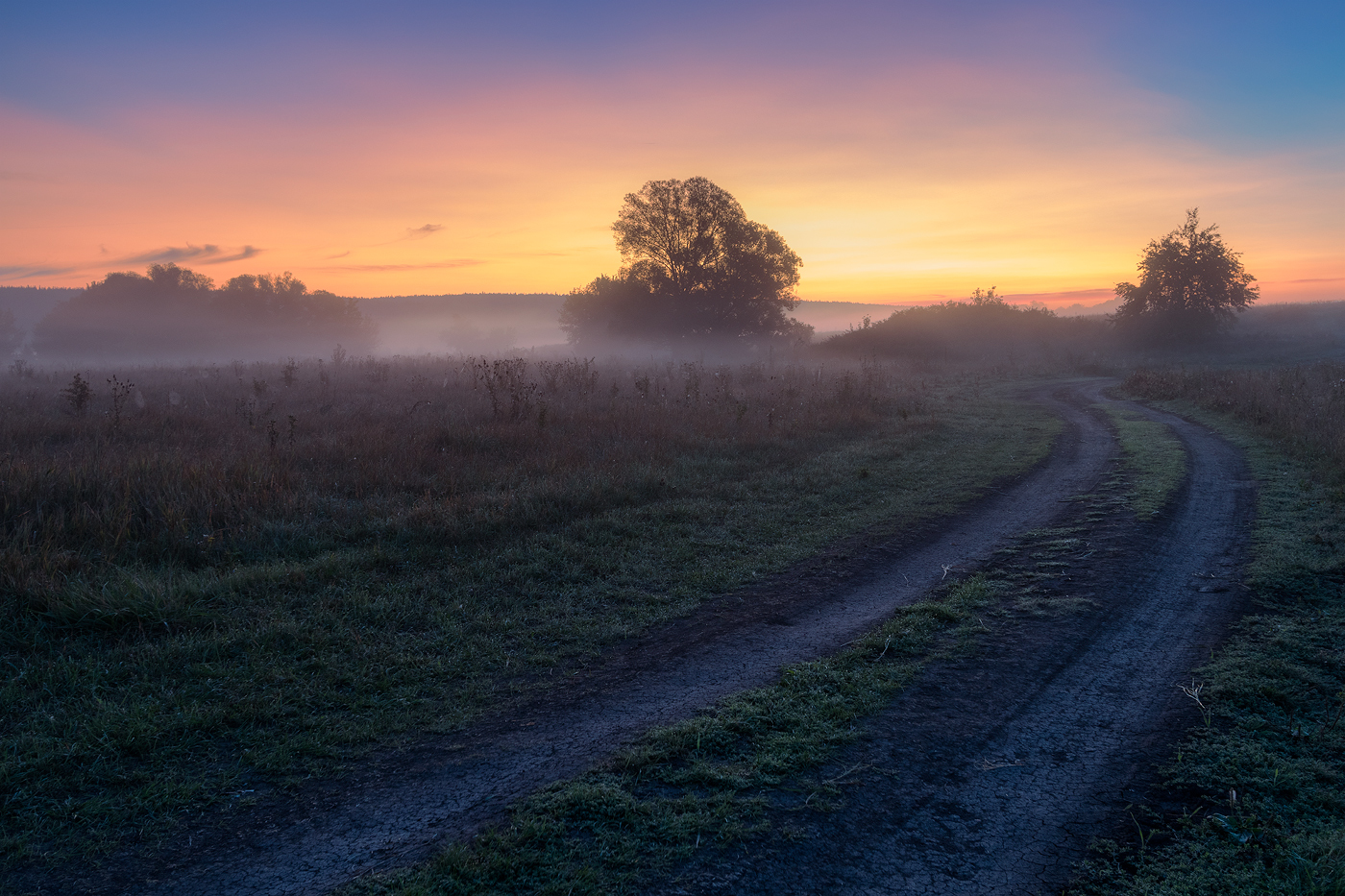 photo "***" tags: landscape, autumn, fog, meadow, morning, road, sunrise