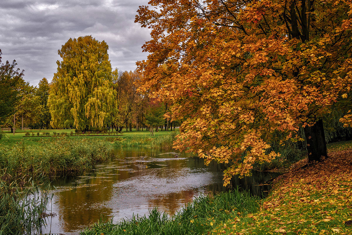 photo "***" tags: landscape, nature, city, autumn, sky, water, деревья