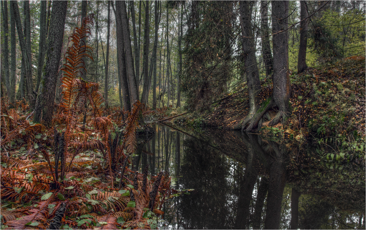 photo "***" tags: landscape, nature, autumn, water