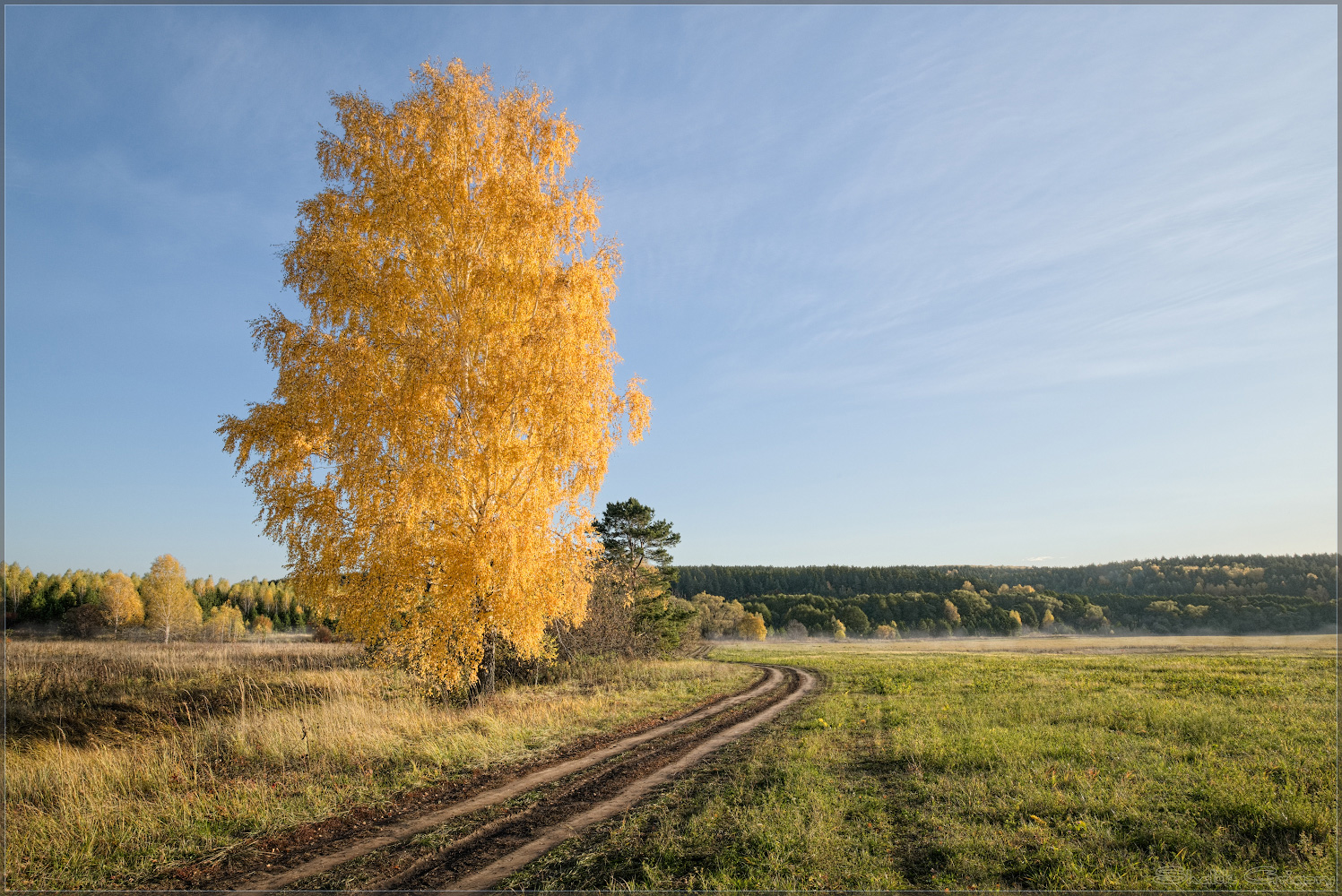 фото "Дорога в осень" метки: пейзаж, 