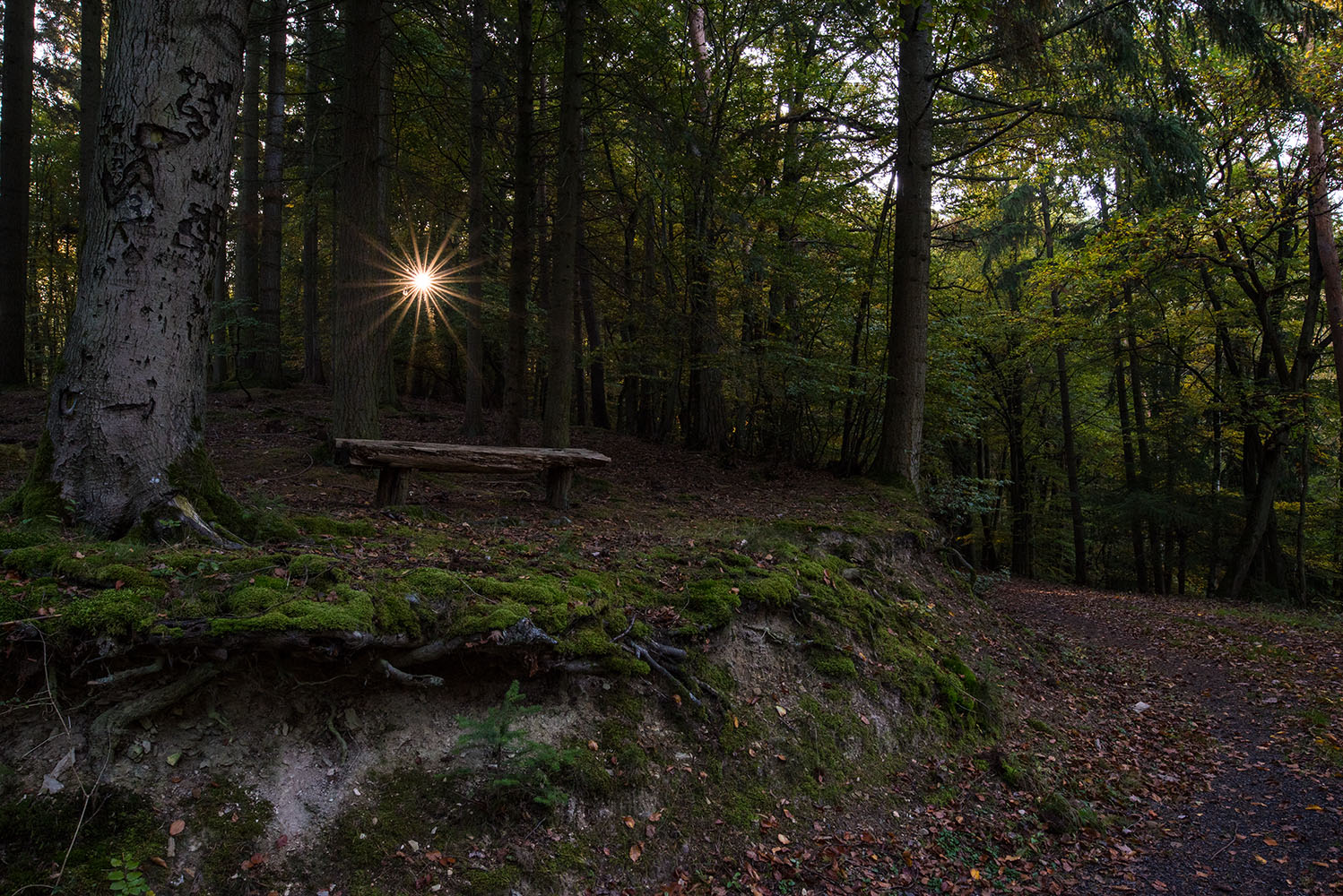 photo "***" tags: landscape, Europe, autumn, forest