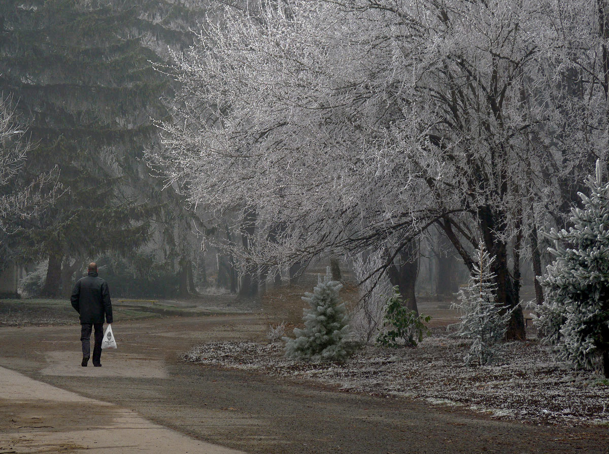 photo "***" tags: nature, winter