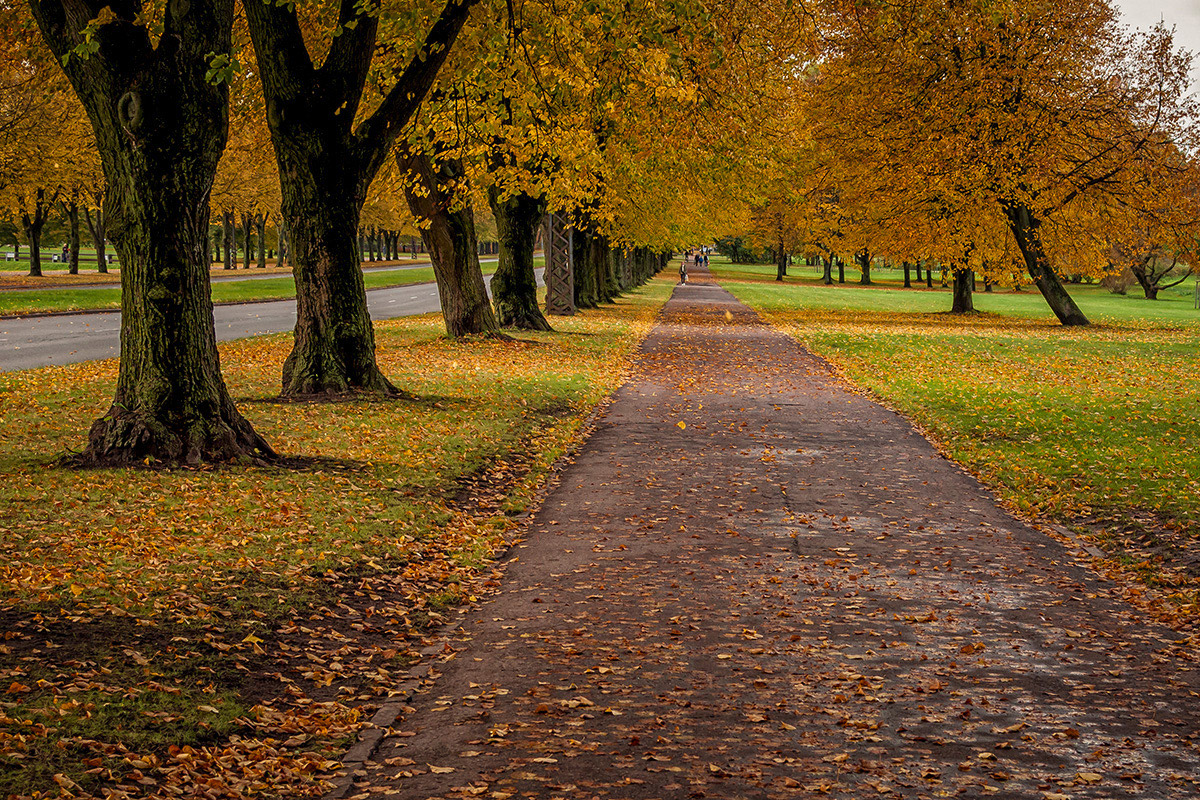 photo "***" tags: landscape, nature, city, autumn, people, деревья