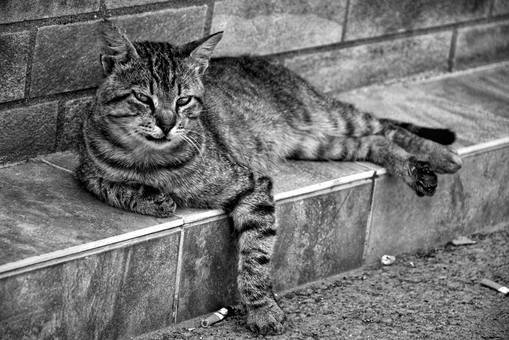 photo "***" tags: street, black&white, 