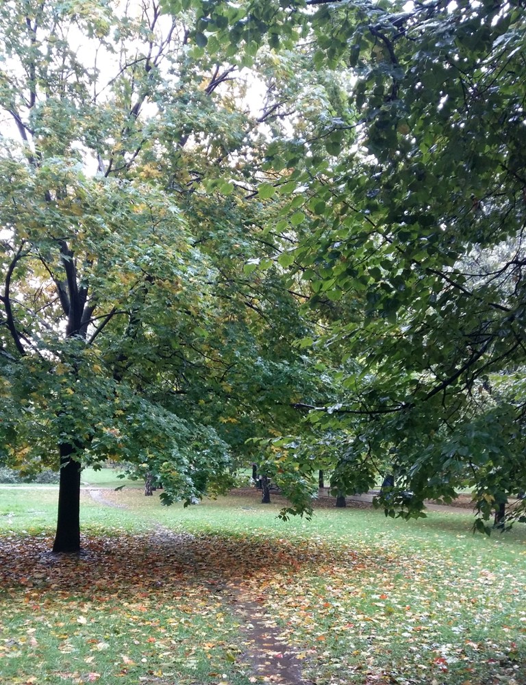 photo "***" tags: , autumn, деревья, дорожки, кусты