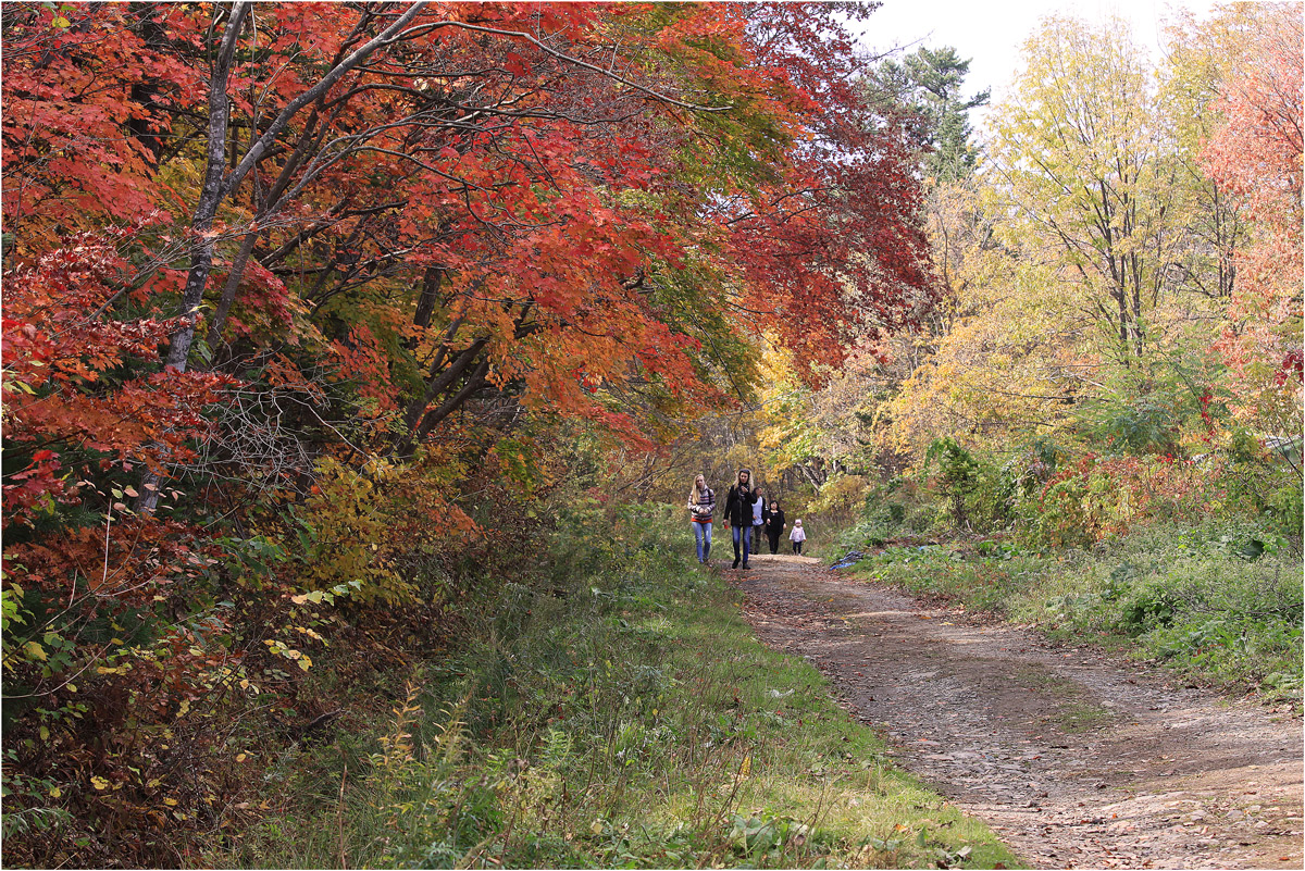 photo "***" tags: nature, autumn