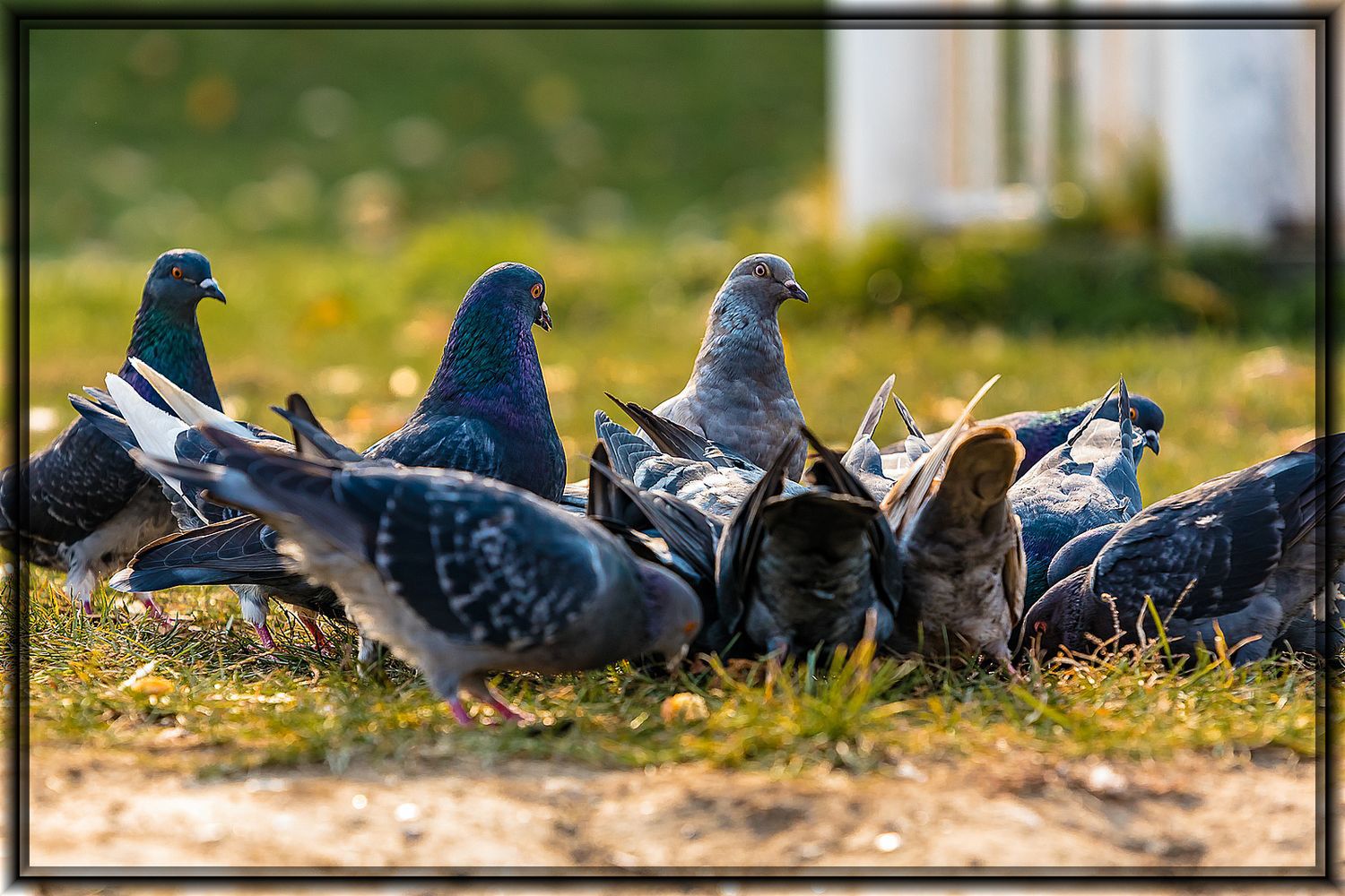 фото "Смотрящие" метки: природа, 