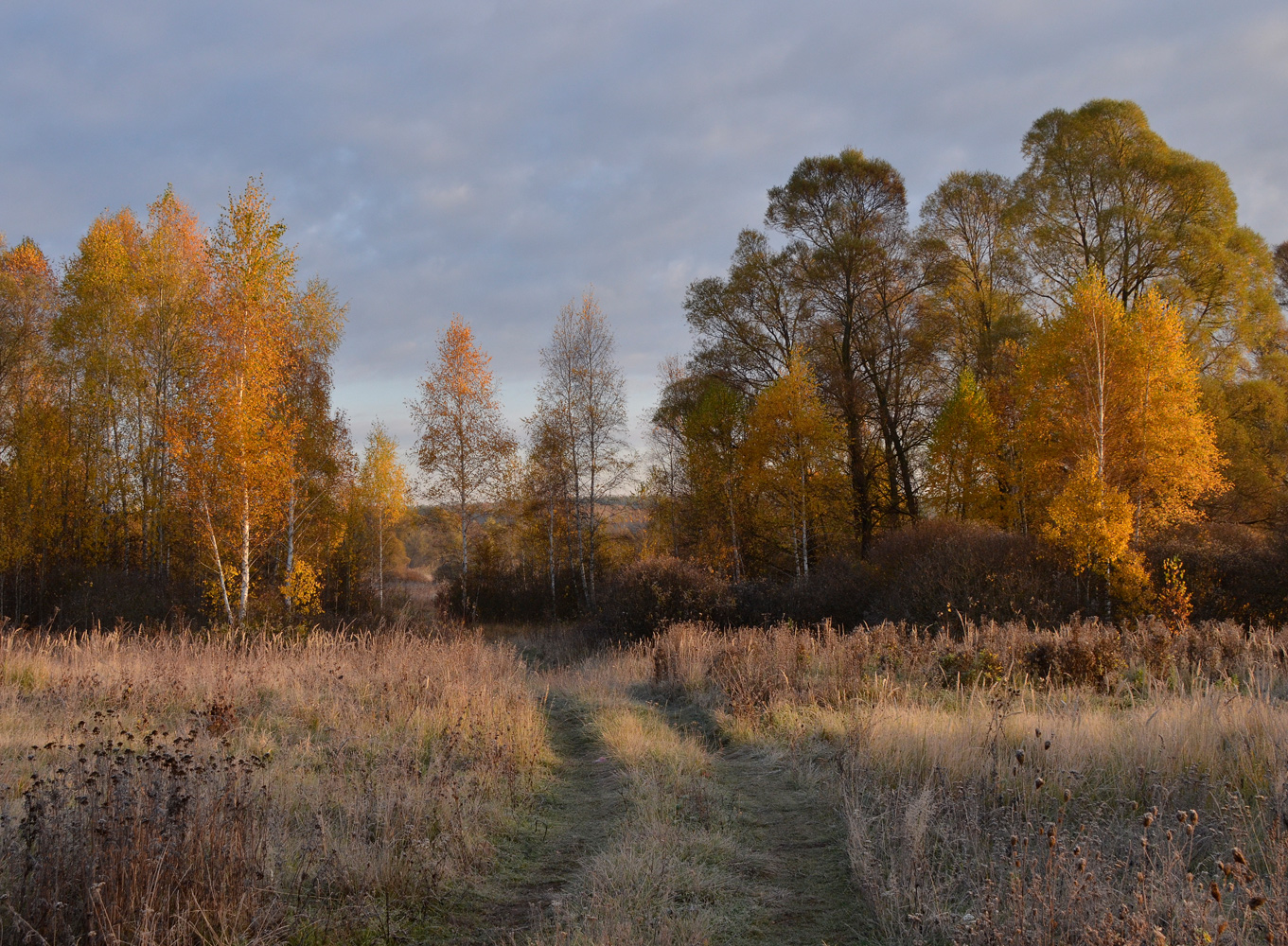 photo "***" tags: landscape, autumn, morning
