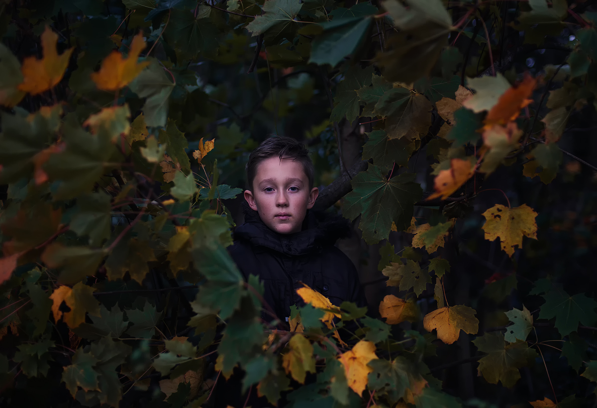 фото "Golden chain" метки: портрет, природа, Europe, Ireland, forest, дети, осень