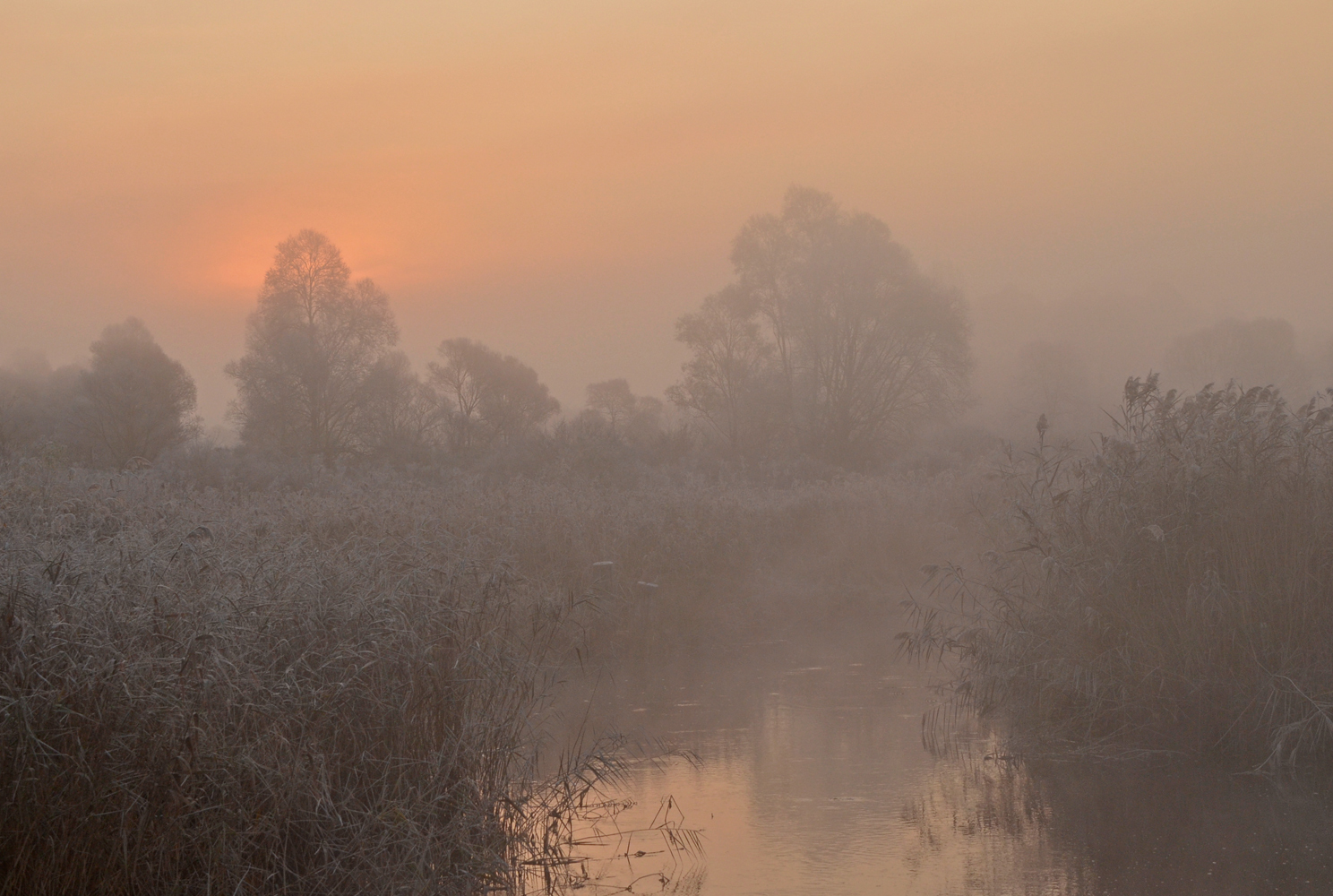 photo "***" tags: landscape, autumn, fog, morning, river, sunrise