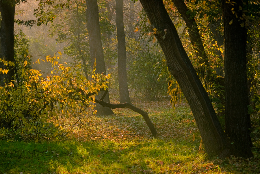 фото "***" метки: пейзаж, 