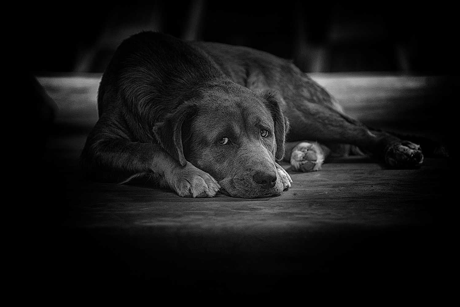 photo "***" tags: black&white, 