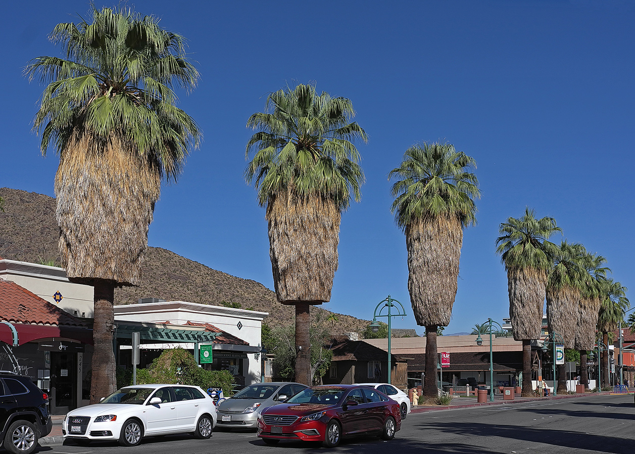 фото "Palm Springs" метки: пейзаж, город, путешествия, 
