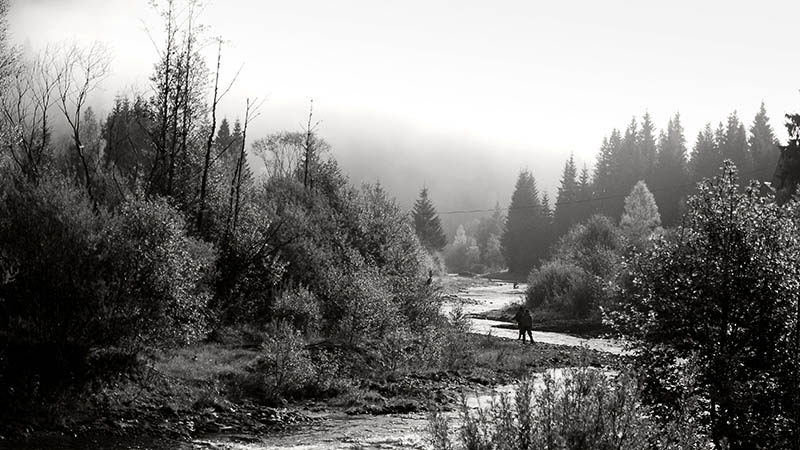 photo "Morning in the woods" tags: landscape, nature, mountains, water