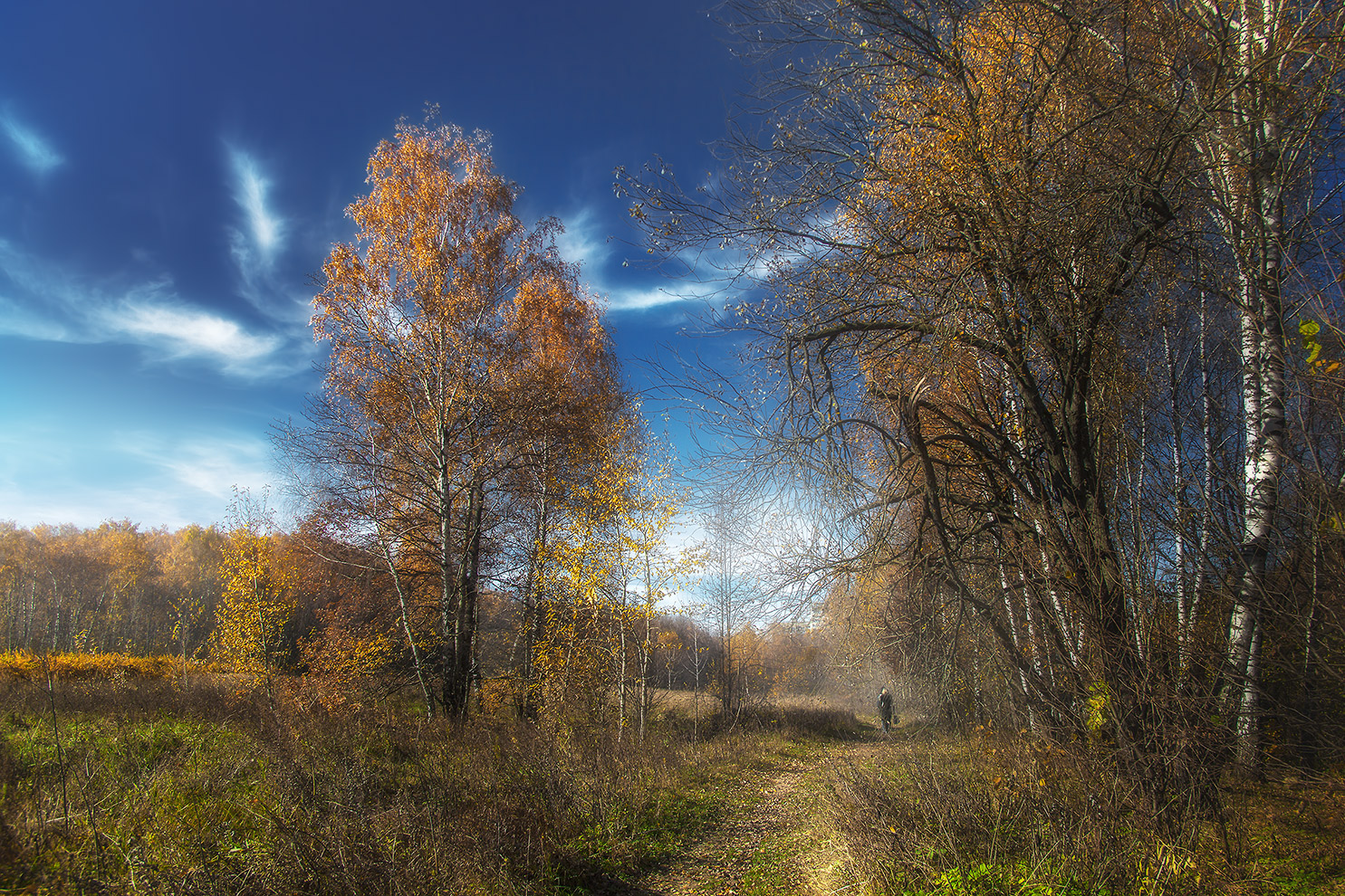 фото "Уходящая осень" метки: пейзаж, 