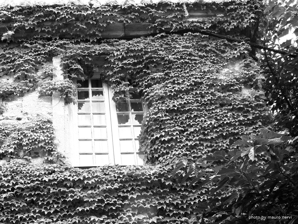 photo "the window" tags: black&white, 