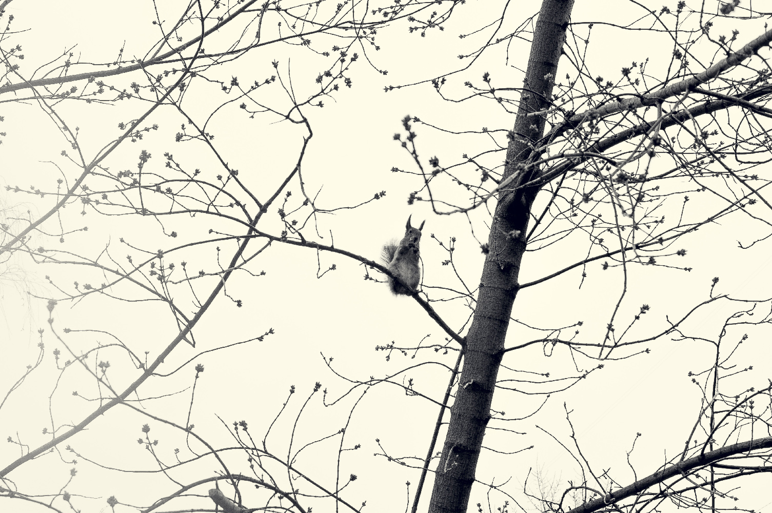 photo "***" tags: nature, fragment, 
