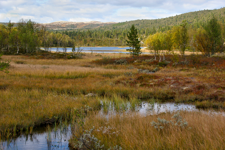 photo "***" tags: landscape, Europe, autumn