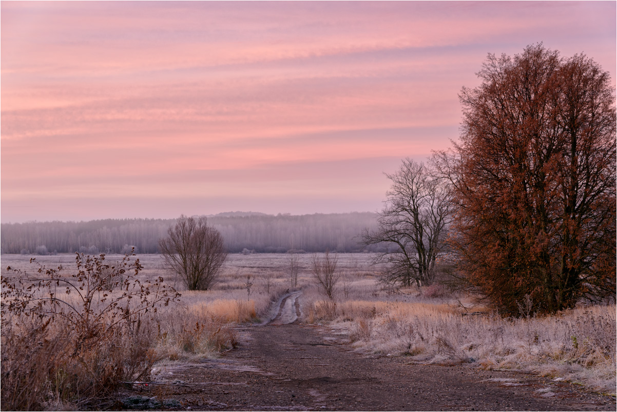 фото "О первых заморозках" метки: пейзаж, путешествия, природа, Россия, дерево, небо, облака, осень, туман, утро