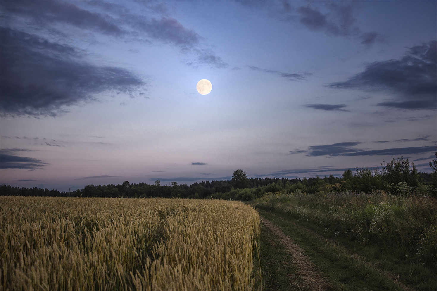 фото "В высотах облачных печалилась Луна ..." метки: пейзаж, природа, Луна, небо, полнолуние, русская природа, русское поле