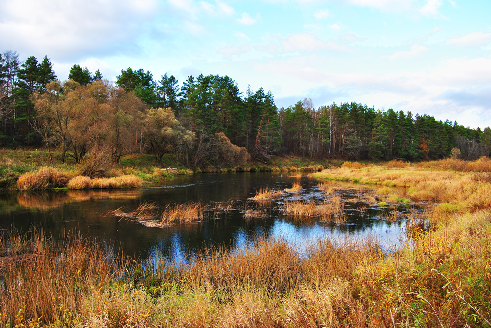 photo "***" tags: nature, landscape, 