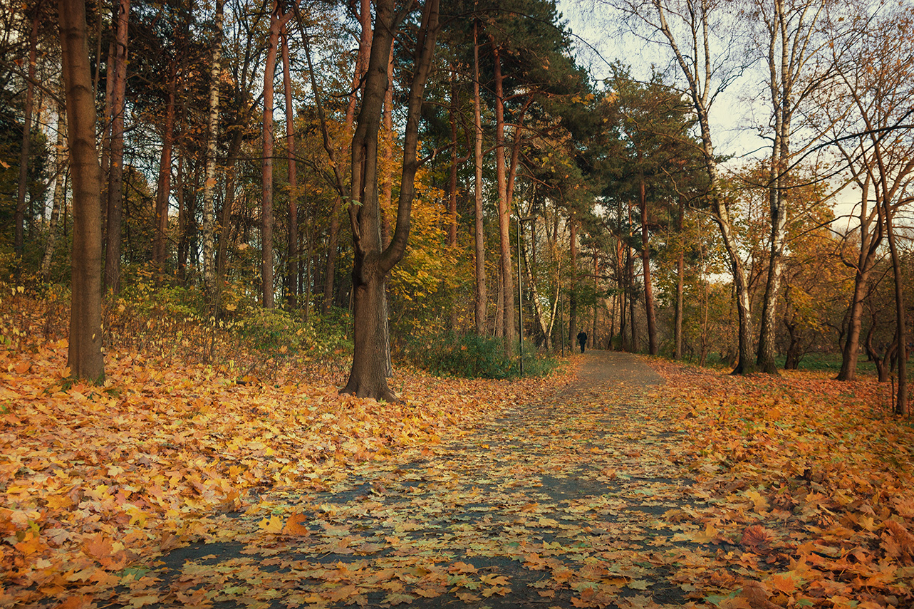 фото "***" метки: пейзаж, осень