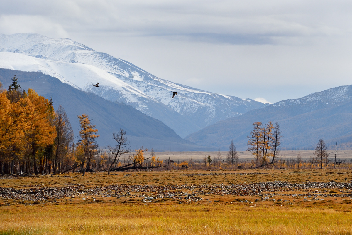 photo "***" tags: landscape, nature, travel, 